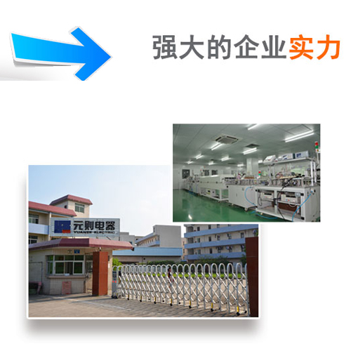 【元則資訊】不一樣的廣東汽車繼電器!